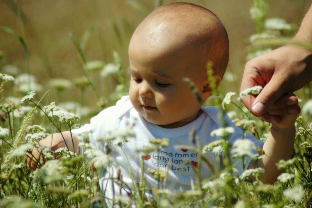 Los Angeles Acupuncture and Wellness