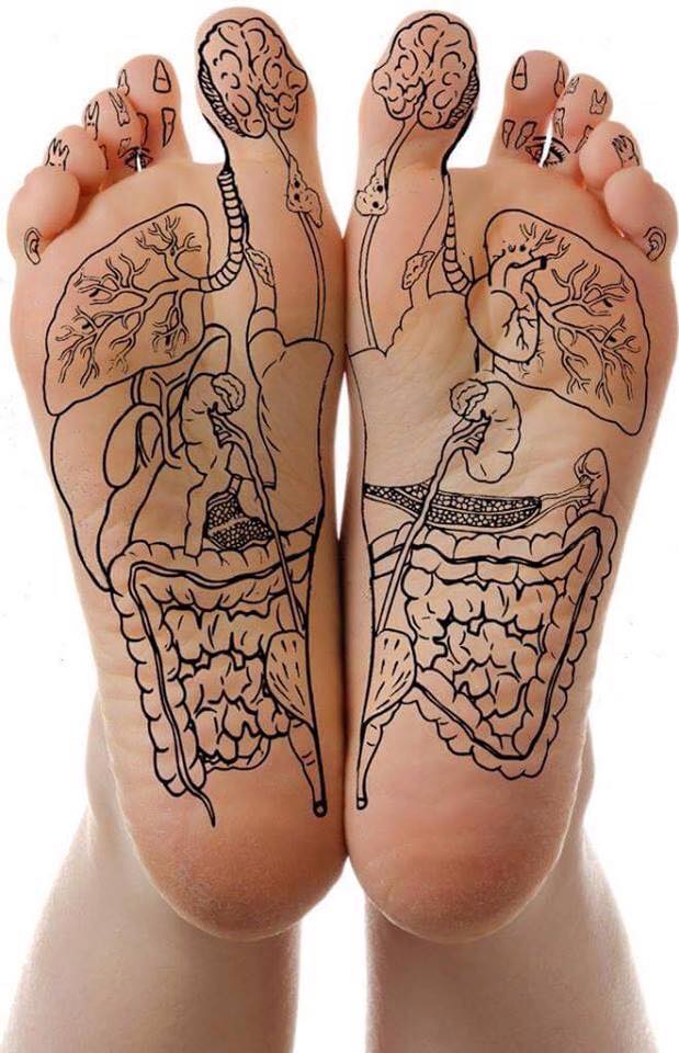 Lynn’s Reflexology